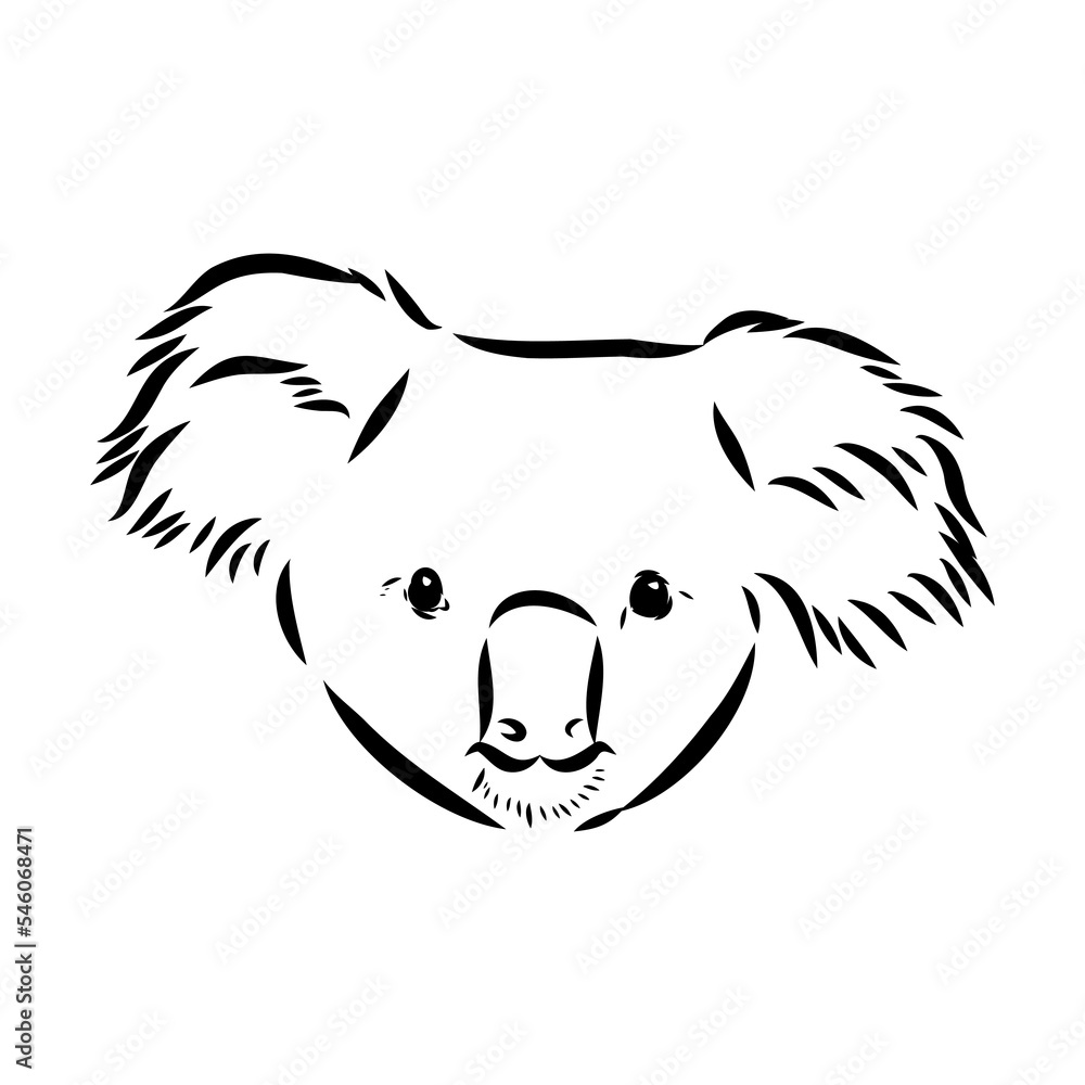 Koala bear animal on tree sketch engraving vector illustration. Scratch board style imitation. Black and white hand drawn image. Koala bear animal on tree sketch engraving vector illustration. Scratch board style imitation. Black and white hand drawn image.