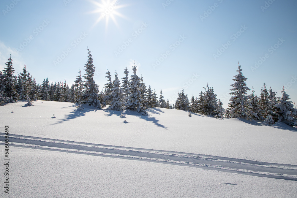 Obraz premium beautiful winter landscape with snowy fir trees