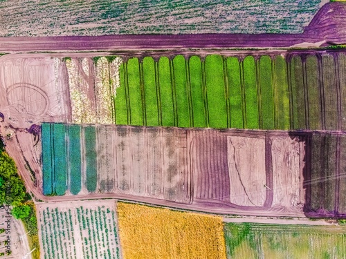 Countryside patchwork fields landscape from an aerial view photo