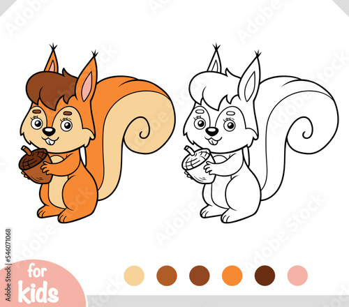 Coloring book for kids, Cute squirrel and acorn