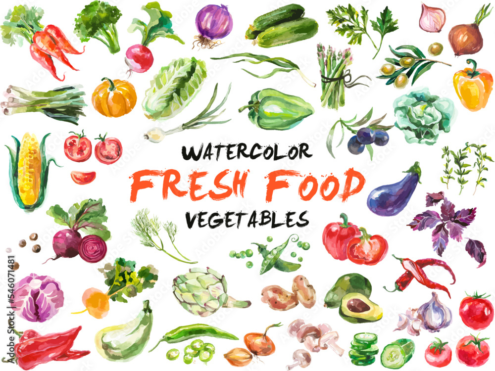 Watercolor painted collection of vegetables. Hand drawn fresh food design elements isolated on white background. - obrazy, fototapety, plakaty 