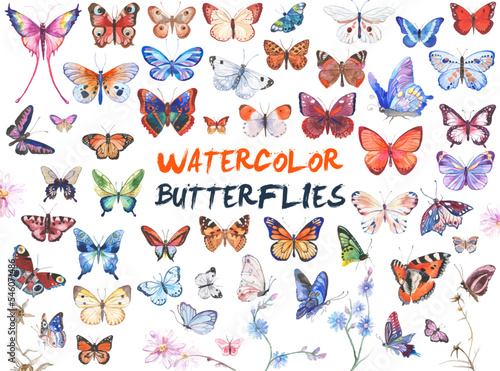 Vector illustration of watercolor butterflies isolated on white background © Maxim Basinski