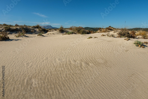 Sand patterns on dune Capo Comino, Siniscola, Sardinia