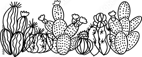 Illustrations of wild cactuses. Vector hand drawn pictures. Cactus plant nature, doodle drawing 
