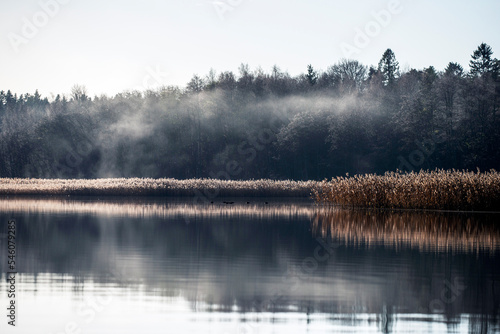 misty morning on the river, värmdö,sverige, sweden