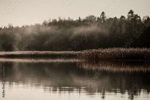 fog on the lake, värmdö,sverige, sweden