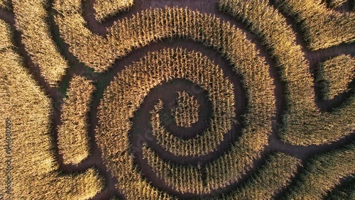 Top-down video of crop circles maze