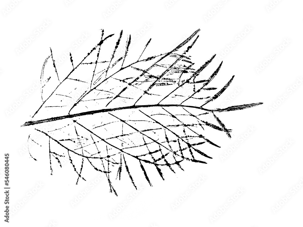 Fototapeta premium texture of foliage imprint on paper, leaf texture on a white background