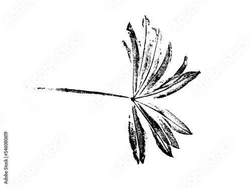 texture of foliage imprint on paper, leaf texture on a white background