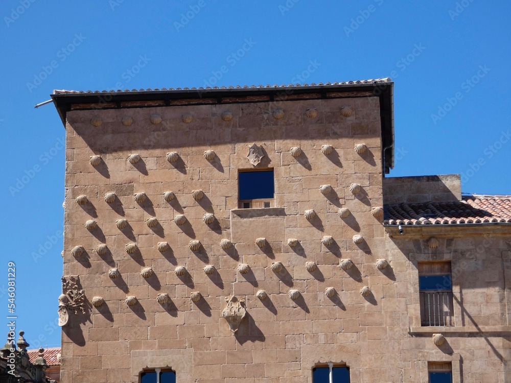 La Casa de las Conchas de Salamanca es un antiguo palacio urbano de estilo gótico y elementos platerescos. 