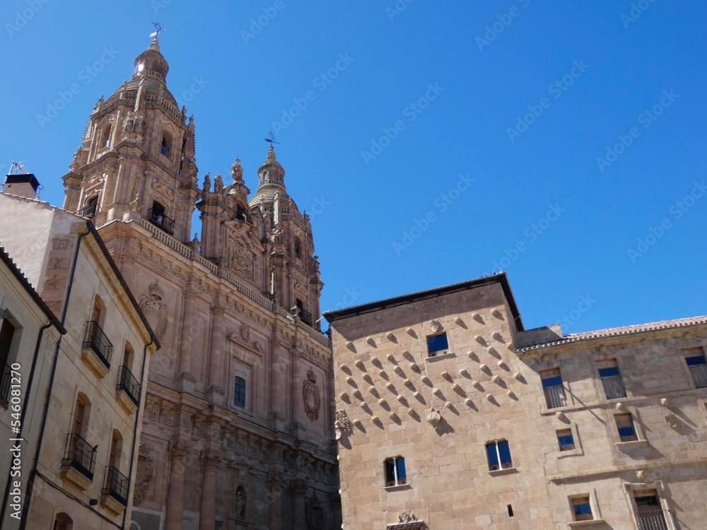 La Casa de las Conchas de Salamanca es un antiguo palacio urbano de estilo gótico y elementos platerescos. 