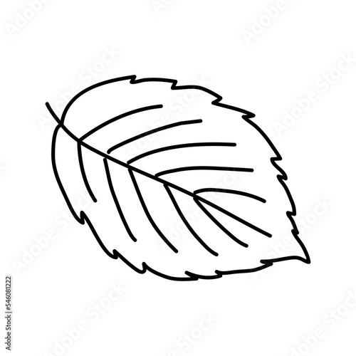 green blackberry leaf line icon vector illustration