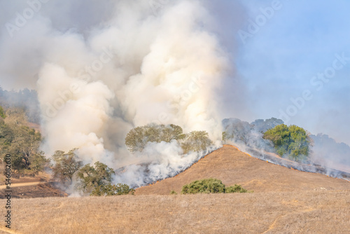 California Wildfire Flames 