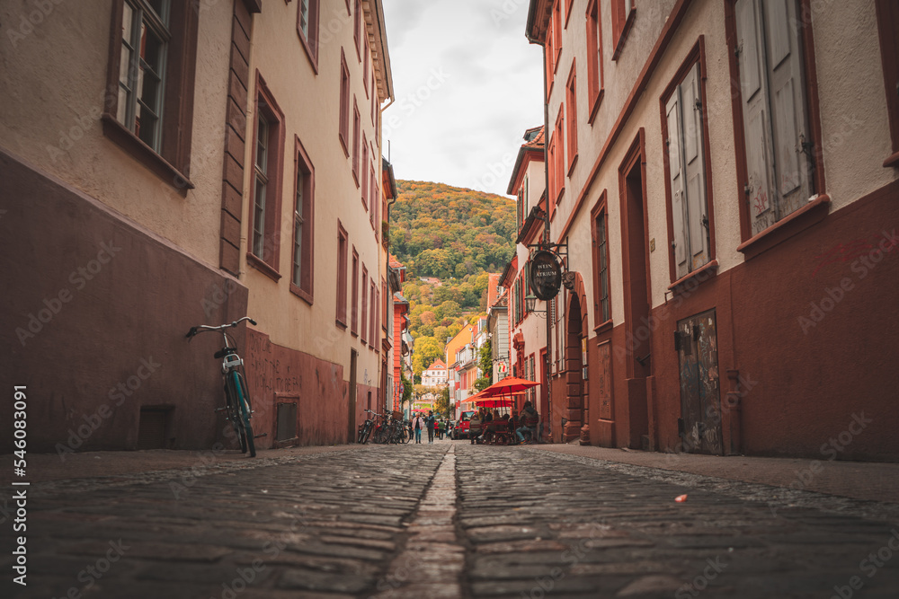 Fototapeta premium Heidelberg altstadt
