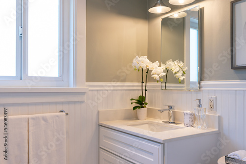 Neutral color scheme details of bathroom vanity with white orchid and wainscoting. photo