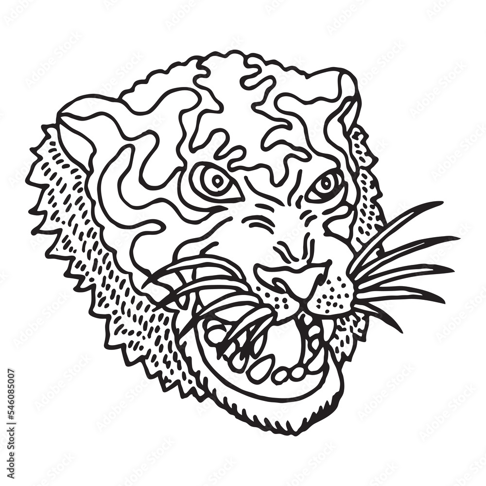 the head of a fierce bearded tiger the head of a fierce bearded tiger
