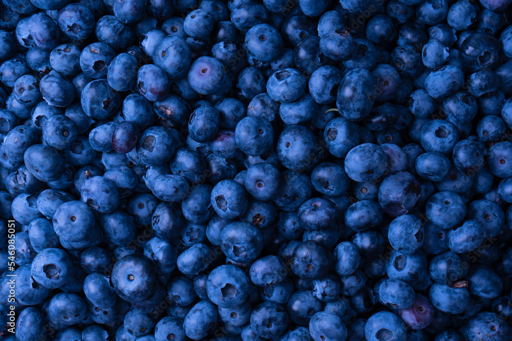 Fresh blueberry background. Texture blueberry berries close up. Fresh blueberry background. Texture blueberry berries close up.