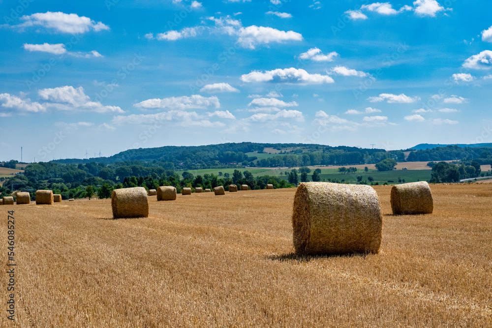 Rolls haystacks straw on field, harvesting wheat. Rural field with bales of hay. Landscape Rolls haystacks straw on field, harvesting wheat. Rural field with bales of hay. Landscape