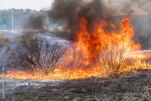 California Wildfire Flames  © kcapaldo