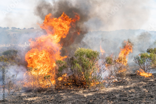 California Wildfire Flames  © kcapaldo