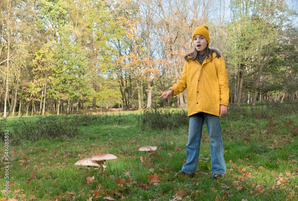 A teenage girl is surprised to find a large mushroom on a walk in the forest. Finding huge mushrooms
