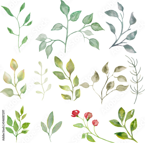Watercolor set with abstract green leaves, branches isolated on white background. For your design of fabrics, wrapping papers, wallpapers, cards, posters. Hand drawn illustration. Vector EPS.