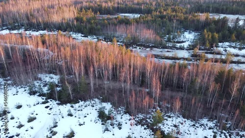 Flight over the frozen field in the morning.