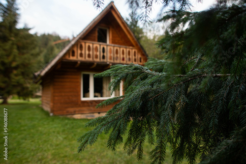 a charming house in the middle of nature in the mountains © Victoriya Bulyha