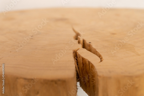 Crack in wood, wood texture, split in wood