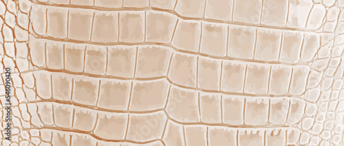 White crocodile leather texture, horizontal banner. Realistic luxury alligator light skin pattern. Premium reptile background. Animal wild close up cover print. Macro view fashion fabric sheet