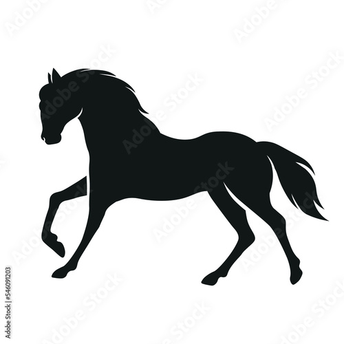  Isolated black silhouette of a horse. Vector illustration.