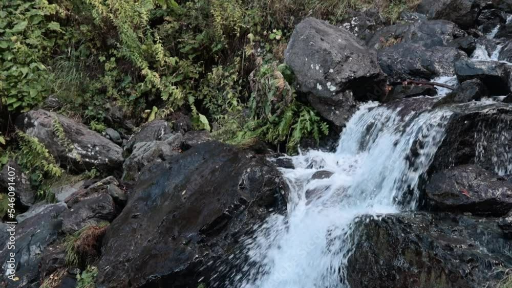 Mountain stream in the forest among rocks, trees, green vegetation. Slow motion. Mountain stream in the forest among rocks, trees, green vegetation. Slow motion.