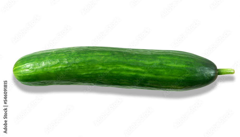 Isolated photo of a juicy green appetizing cucumber. Close-up, white background Isolated photo of a juicy green appetizing cucumber. Close-up, white background