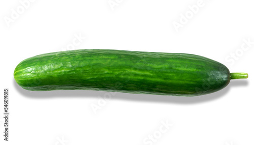 Isolated photo of a juicy green appetizing cucumber. Close-up, white background