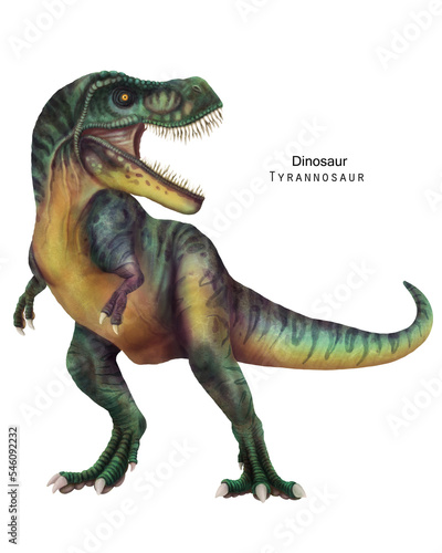 Tyrannosaur illustration. Dinosaur with sharp teeth. Green dino © inna72