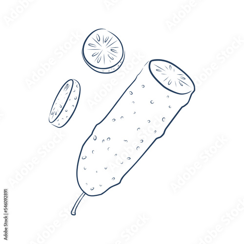 Continuous line drawing of sliced cucumber pickles. One line art concept of fresh food fruit and vegetable. Vector illustration