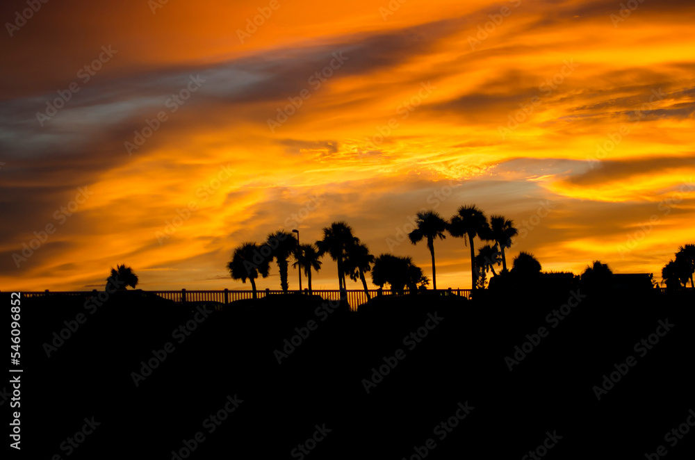 Sunset in the palms