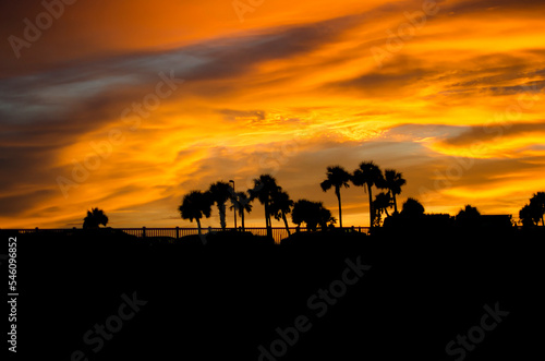 Sunset in the palms © Kelsey