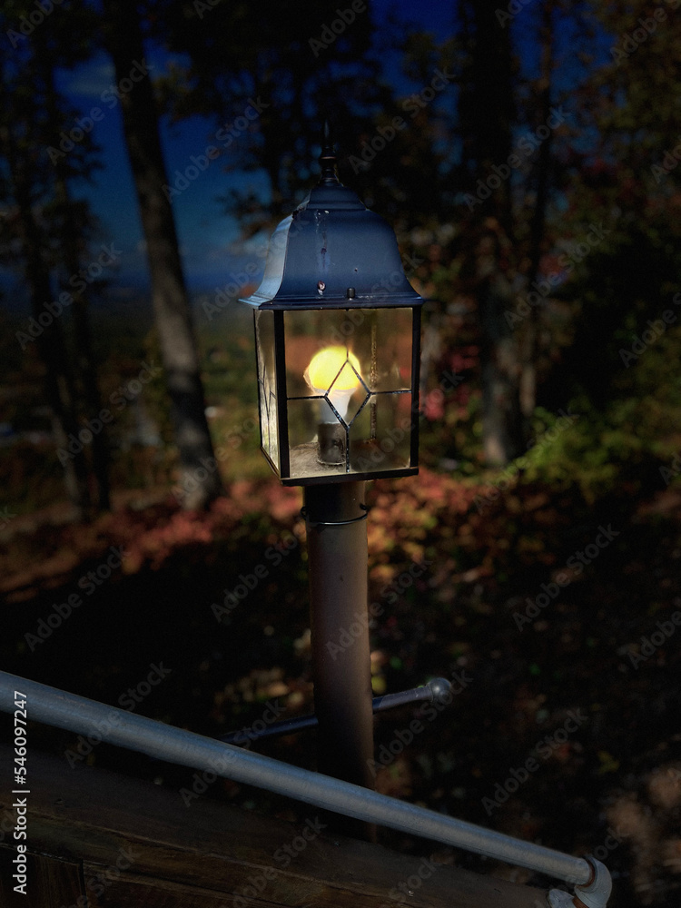 lantern in the woods