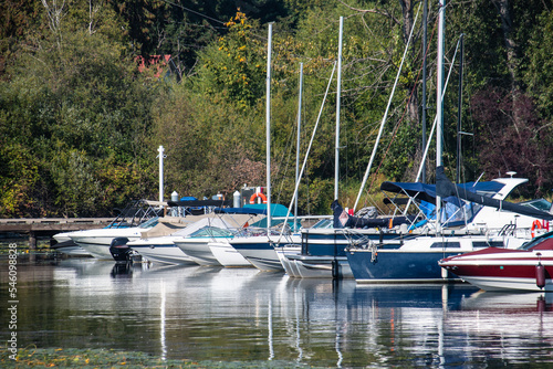 Summer stroll along Lk Washington Blvd, Seattle, WA