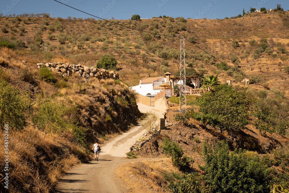 Obraz premium A person walk up a lonely road in a Spanish mountain valley peppered with white stone walled houses. The area is near Arenas in the mountains of Andalusia near Malaga 