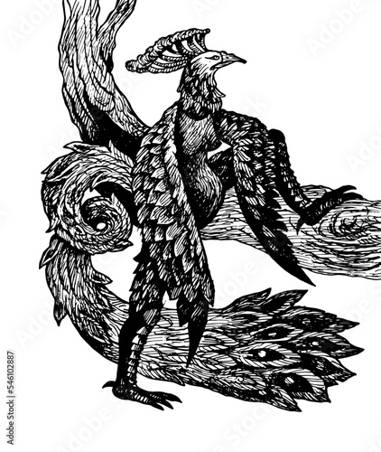 Fire bird Slavic beauty ink inktober