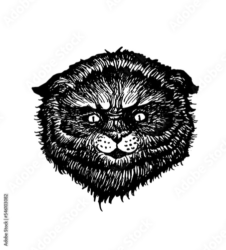 Cat monster  fabulous the scary funny demonic beast in Cheshire