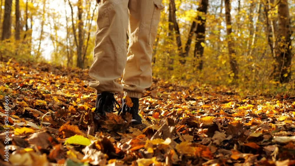 A girl in boots walks through the autumn forest. Close-up of boots walking on fallen leaves. A girl in boots walks through the autumn forest. Close-up of boots walking on fallen leaves.