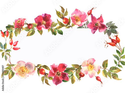 Watercolor hand painted dog rose floral banner isolated on white background.