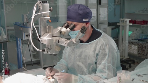 Obraz na plátně The animal is operated on the eye under an ophthalmic microscope by a veterinary surgeon