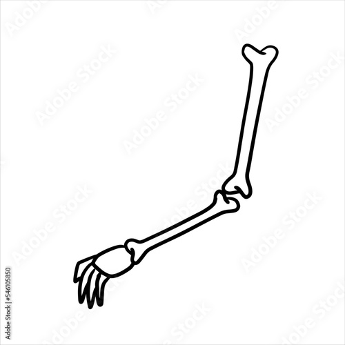 Hand of skeleton. Halloween decoration. Cartoon illustration isolated on white