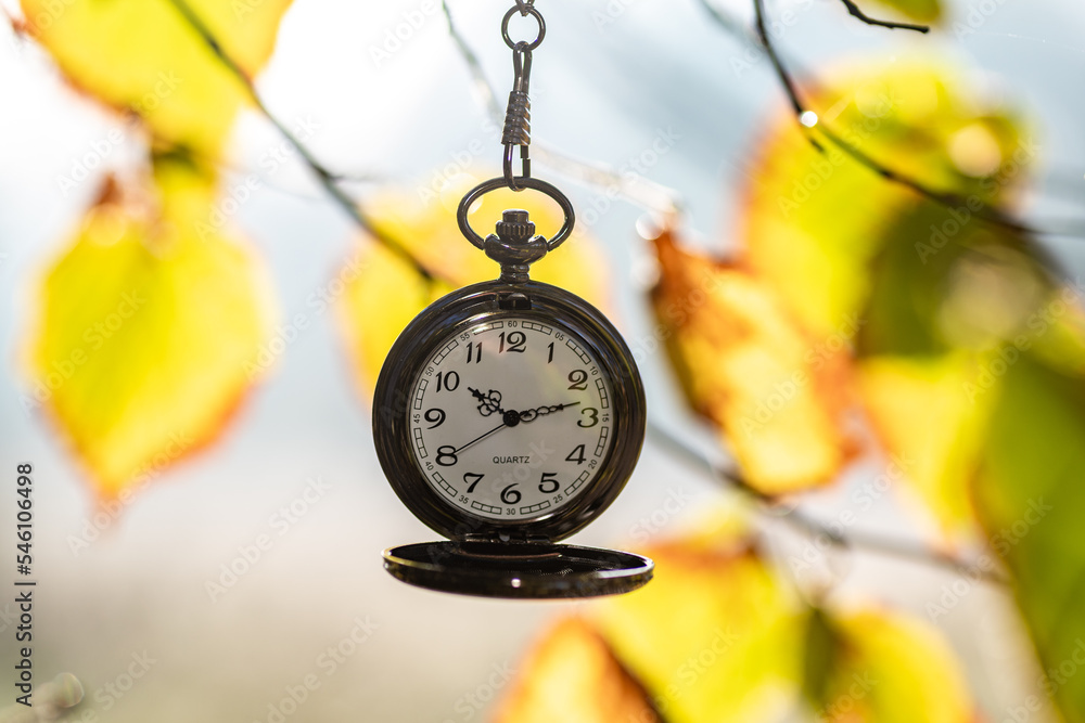 zegarek kieszonkowy na rozmytym tle jesiennych liści - obrazy, fototapety, plakaty 