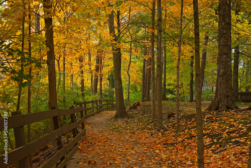 Leafy path along a fence in a northern Ohio park amid autumn colors