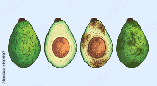 Spoiled avocado. Half of a whole avocado with the pit is rotting. Fruit spoilage process. Waste recycling. Overripe inedible fruit. Rules for storage and processing in the store and at home.